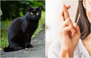 Скрестить пальцы, постучать по дереву: как появились самые популярные суеверия