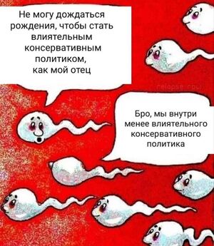 Готовьтесь к выходным с нашей новой порцией мемов!