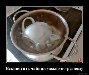 Демотиваторы на любой вкус: «Вскипятить чайник можно по-разному…» (18 фото)