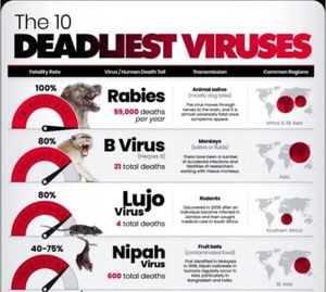 Рейтинг: 10 самых смертоносных вирусов по уровню летальности