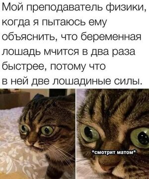 Пятница пришла! Время для смеха и позитива!