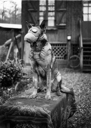 Исторические фото. Вау!