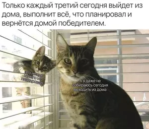 Готовьтесь смеяться до слез! 