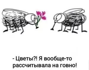 Большой сборник новых приколов на выходной!