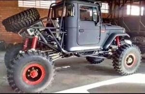 Безумные грузовики (16 фото)