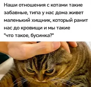 Наконец-то пятница! ✨ Грандиозный сборник приколов!