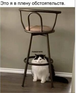 Порция интернет-юмора — смешные мемы | Bugaga