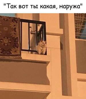 Смотрите лучшие мемы и комментарии, которые зарядят позитивом!