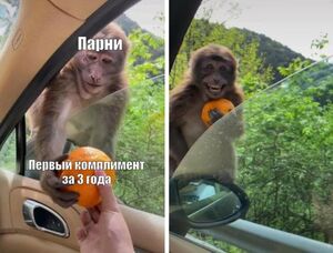 Утро начинается с улыбки! Лучшие мемы, чтобы зарядиться позитивом!