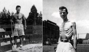 Миннесотский эксперимент по голоданию