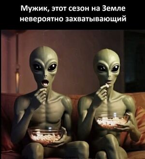 Выходные на позитиве: сборник отборного юмора для отличного настроения!