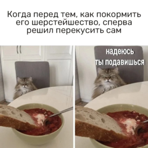 Выходные на позитиве: сборник отборного юмора для отличного настроения!