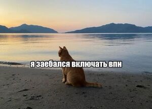 Готовы к выходным? Тогда ловите порцию отборных приколов!