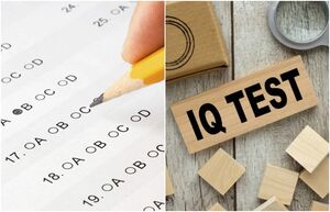 Как был создан тест на IQ, и действительно ли он может измерить уровень интеллекта