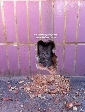 Эксклюзив! Отборные приколы в мемах и картинках – только для вас!