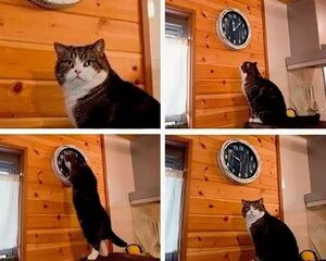 Почему время течёт по‑разному для детей и взрослых