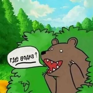 Воспоминания о тех безбашенных временах