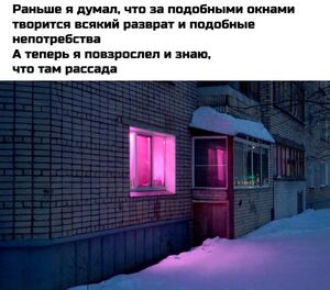 Ловите позитивчик! Подборка свежих шуток и мемов для вашей Маленькой Пятницы!