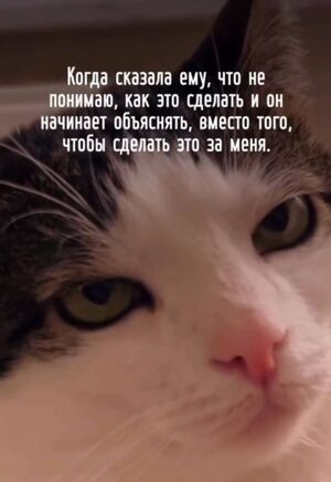 Пятница! Лучшие время для смеха и позитива!