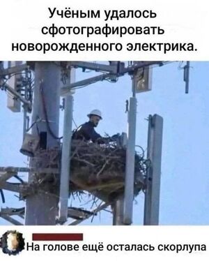 Убойная подборка: Комменты из сети + Мемы = Смех до слез!