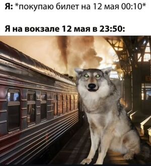 Новый сборник отличных шуток на выходные!