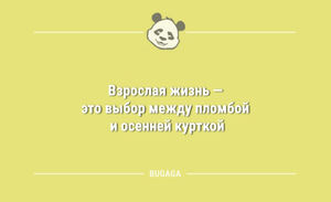 Анекдоты в середине недели: «Взрослая жизнь — это…» (9 шт)