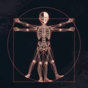 Большие головы, хрупкие кости и никакого возврата на Землю. Эволюционный биолог рассказал, как жизнь на Марсе навсегда изменит Homo sapiens