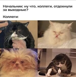 Утро начинается с улыбки! ☀️ Свежая порция мемов для отличного настроения!