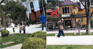 Собачий конфликт в Краснодарском крае: экскременты в лицо и нецензурная брань