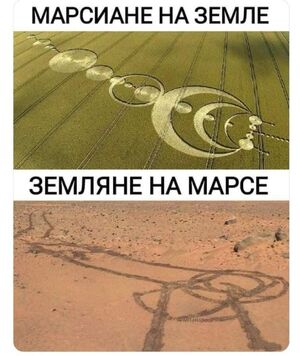 Пятница пришла! Готовьтесь к взрыву позитива!
