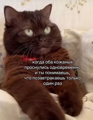 Пятница пришла! Готовьтесь к взрыву позитива!