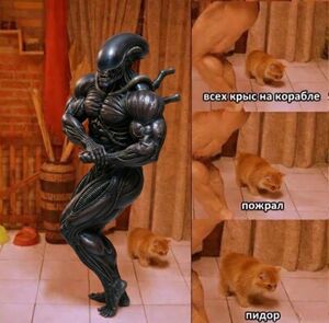 Ура, пятница! Заряжаемся позитивом перед выходными