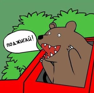 Открытое письмо водителю Suzuki: история одного раскаяния