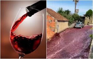 Шоколад, вино и угольная зола: 6 неожиданных потопов, когда разливалась совсем не вода