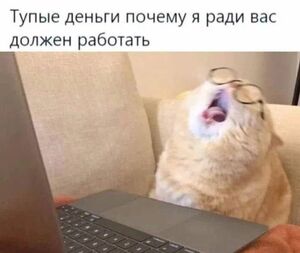 Интернет смеется – и ты смейся вместе с нами!