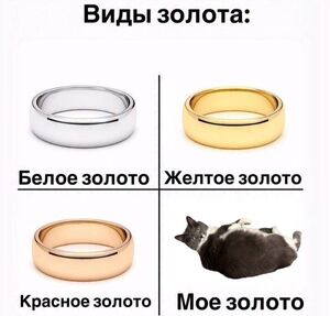 Пятница, ты прекрасна! Лови порцию позитива, чтобы встретить выходные с улыбкой!