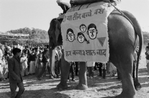 Зачем вам больше двух-трех детей?