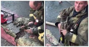 Пожарный реанимировал котика, который надышался угарным газом