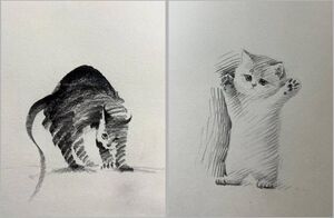 15 милых карандашных рисунков котов, в которые легко влюбиться