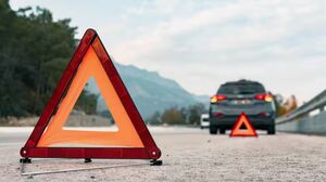 Что грозит водителю в России за сбитого голубя: какой штраф ждет виновника и могут ли лишить прав