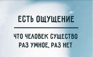 Улыбнитесь шире: Ваш идеальный сборник приколов для выходных!