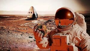 Освоение Марса: мечты о колонизации и суровые реалии Красной планеты