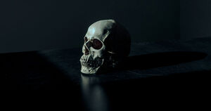 Вес костей составляет всего 15% от общей массы тела