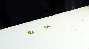 Разбитое отверстие под шуруп: как просто отреставрировать.