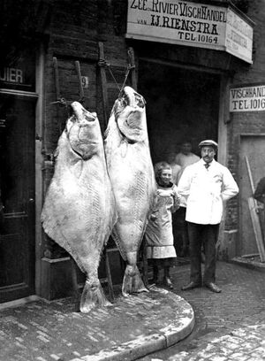Необычный маркетинговый ход в Амстердаме 1913 года