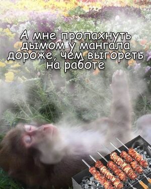 Улыбнитесь: подборка самых смешных мемов и прикольных комментариев из соцсетей!