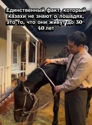Новый сборник отборных шуток: заряд позитива на весь день!
