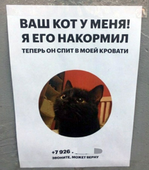 Вот и наступили выходные, а значит, время для порции отличного настроения! 
