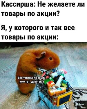Самый смешной юмор для вашего настроения!