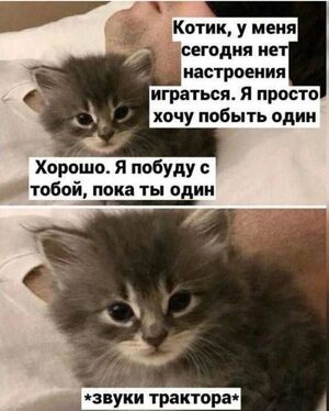 Улыбнись! Новые мемы уже здесь, чтобы поднять тебе настроение!